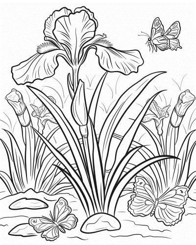 coloring page of a boy holding a bouquet of gladiolus flowers