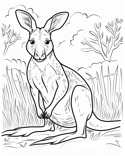 red kangaroo coloring page