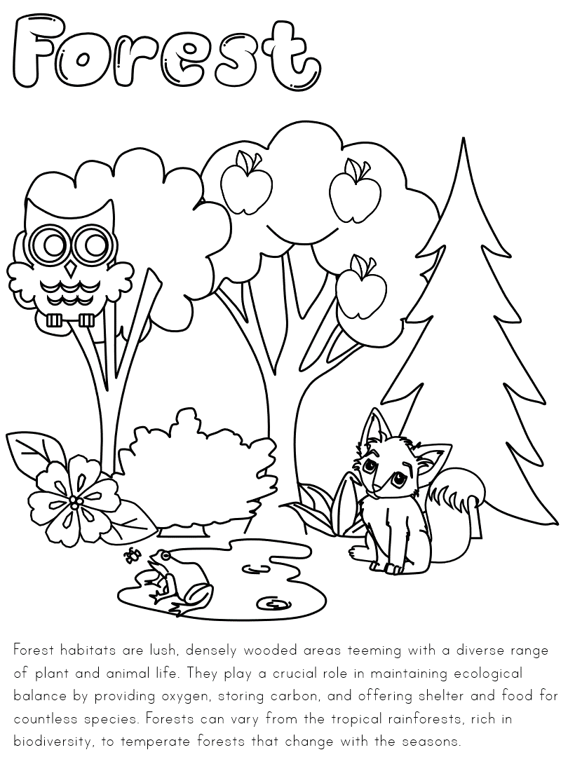 forest habitat coloring page