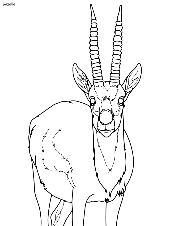 serengeti gazelle coloring page