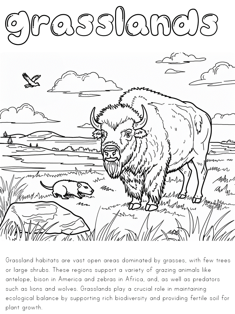 grasslands habitat coloring page