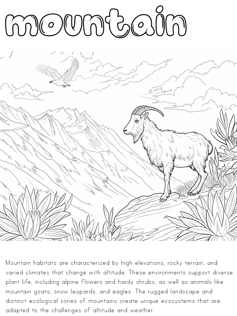 mountain habitat coloring page