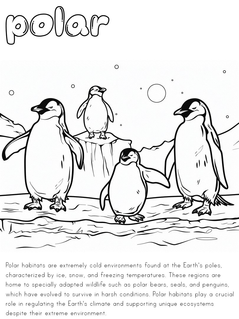 polar region habitat coloring page