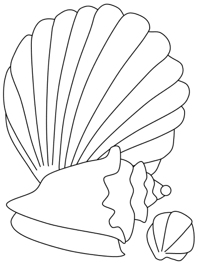 seashells coloring page