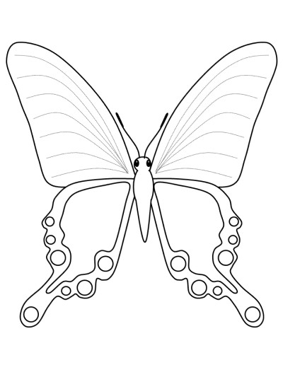 butterfly coloring page