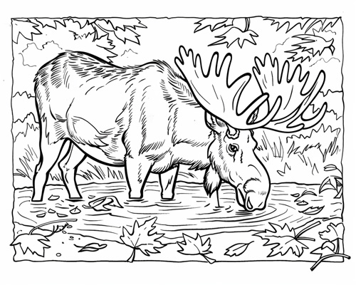 autumn coloring page of moose