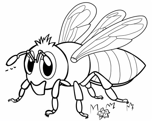 simple, cartoon bee coloring page