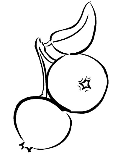 blueberry coloring page