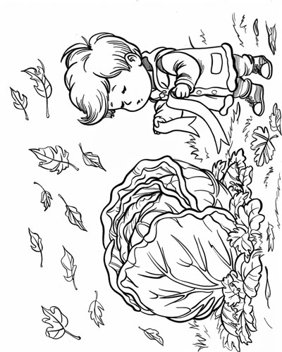 coloring page of the winner of the best cabbage