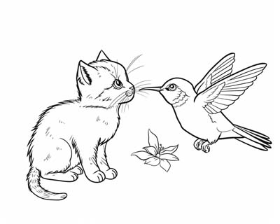 cat and hummingbird coloring page