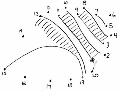 sea shell connect the dots page