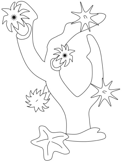 great barrier reef coral coloring page