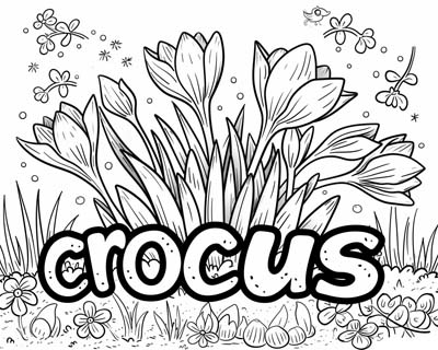 coloring page of crocus word art