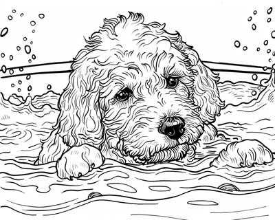 dog paddle coloring page