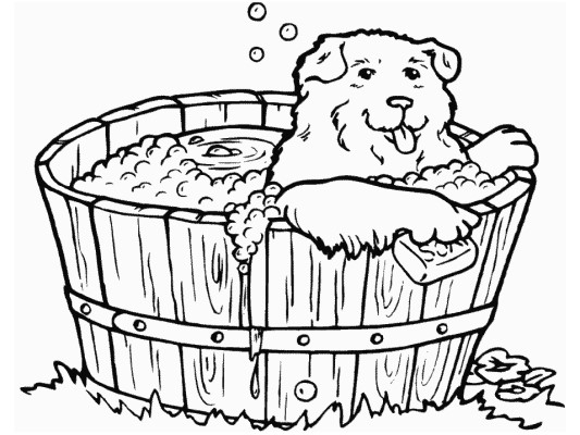 dog bath coloring page