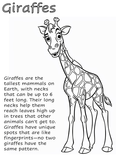 cartoon coloring page of a giraffe with facts