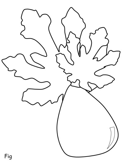 fig coloring page