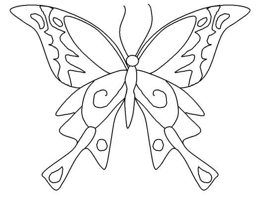 butterfly coloring page