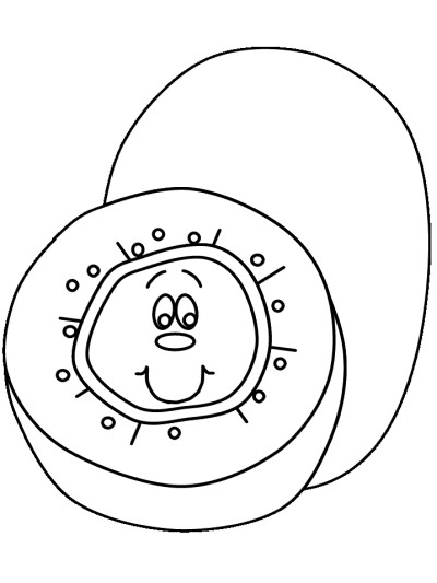 kiwi coloring page