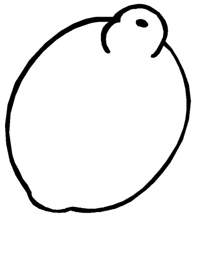 lemon coloring page