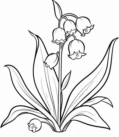 coloring page of lily of the valley