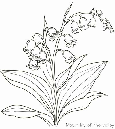 Lily of the Valley, May birth flower coloring page