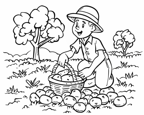 farmer harvesting potatoes coloring page