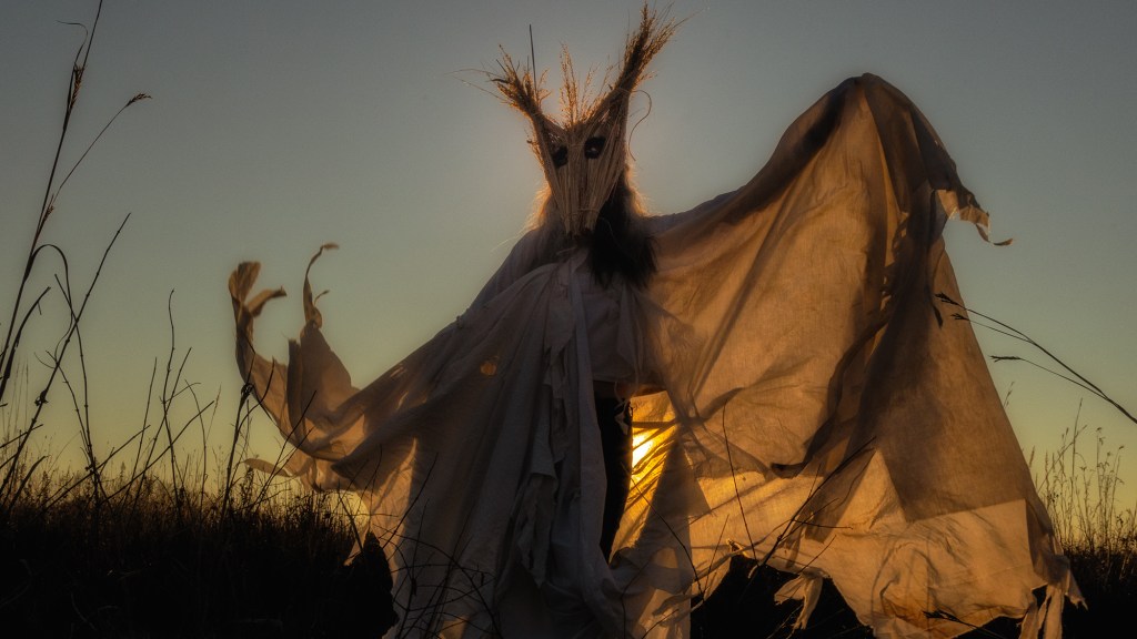The Spider Spirit