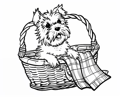 toto coloring page