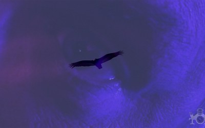 Alchemy