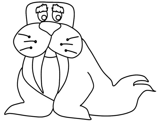 walrus coloring pages